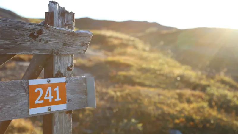 Led 241 i Trillevallen en solig höstdag