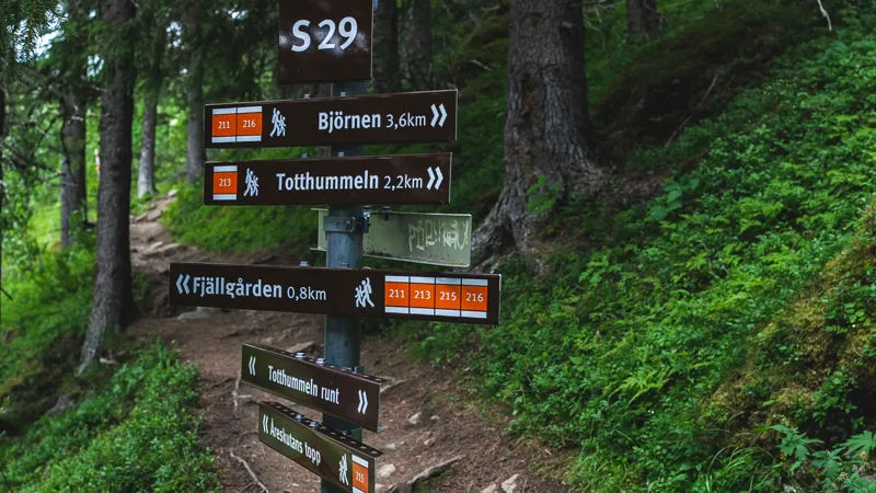 Vandringsled med skyltar kring totthummeln
